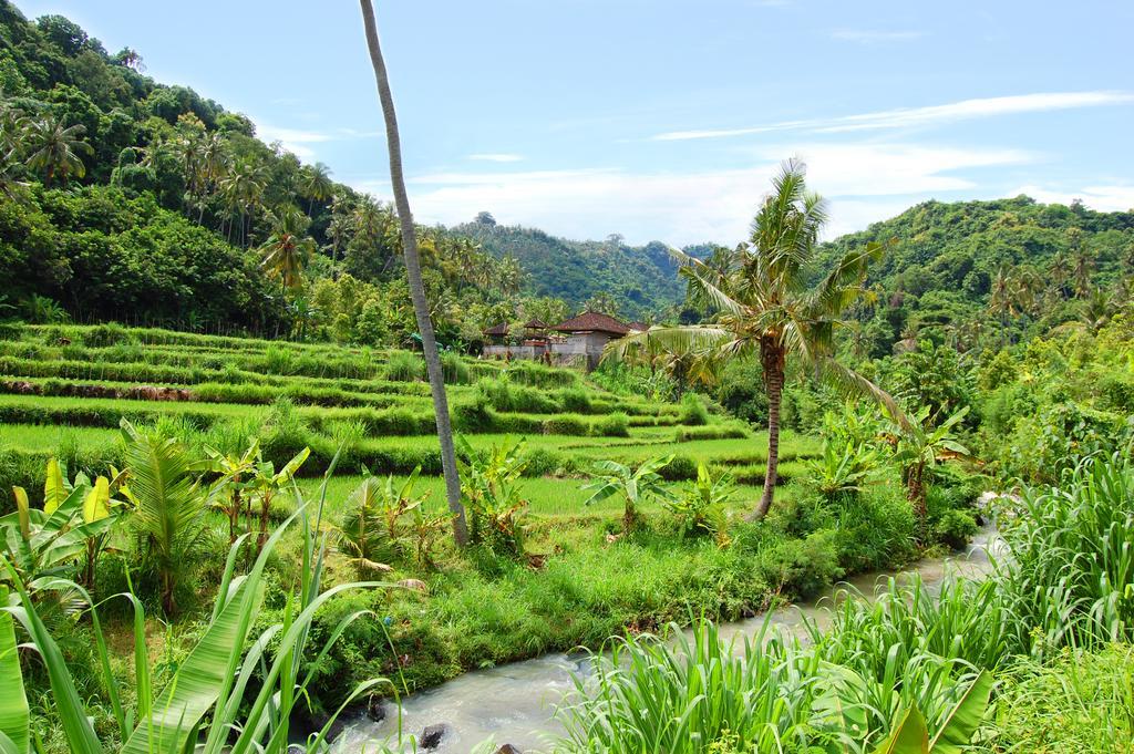 Indo Rumah Zengarden Булеленг Экстерьер фото