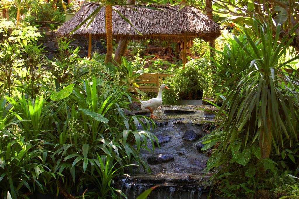 Indo Rumah Zengarden Булеленг Экстерьер фото